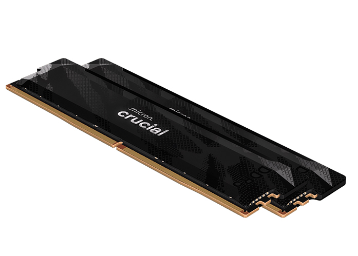 Zwei Marken. Ein Kanal. Crucial® DDR5-Speicher Pro-OC-Gaming-DRAM dexxIT